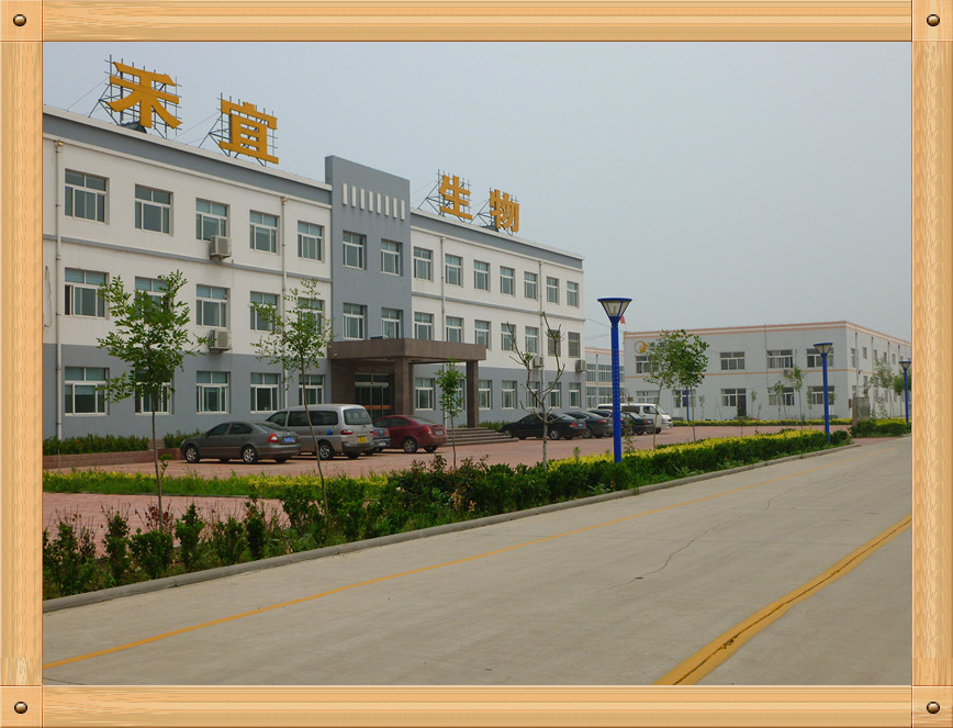 Cina Weifang Heyi Agrochemical Co.,Ltd Profil Perusahaan