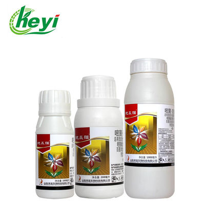 Azoxystrobin 60g L Chlorothalonil 500g L SC Fungisida Pestisida