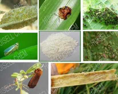 Butiran Thiamethoxam 3% GR Insektisida Pertanian Cas No 153719-23-4